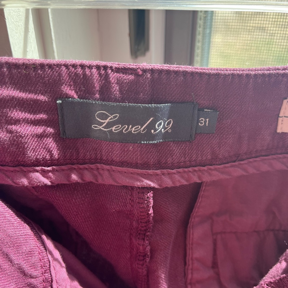 Level 99 wide leg pants